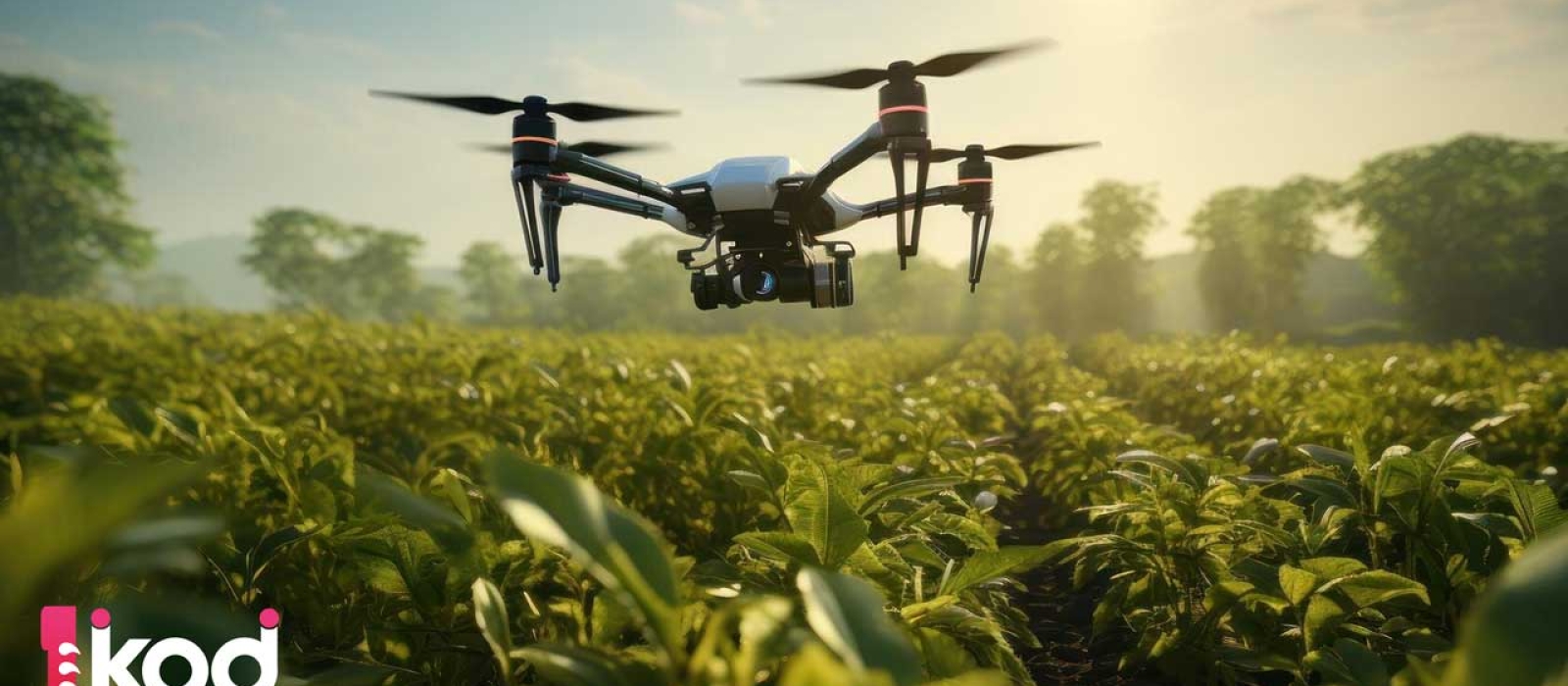 Technologie et autosuffisance alimentaire : un tandem gagnant