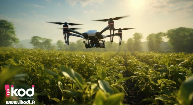 L'AGRICULTURE CONGOLAISE À L'ÈRE DES NOUVELLES TECHNOLOGIES : ENTRE AUTOSUFFISANCE ET EXPORTATION