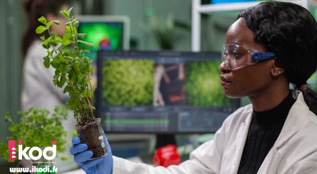 ÉDITORIAL - Technologie et Agriculture : Plaidoyer pour une Structure de Recherche et Développement en RDC